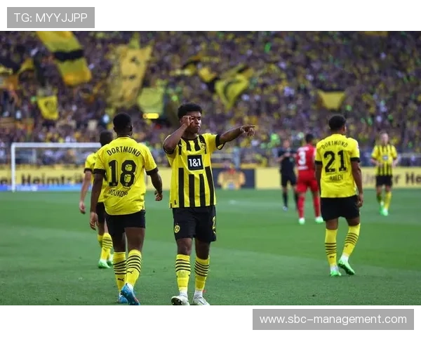 德甲豪门转会政策新动向，聚焦青年才俊以提升本土球员发展潜力