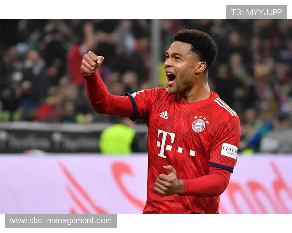 格纳布里足球影响力