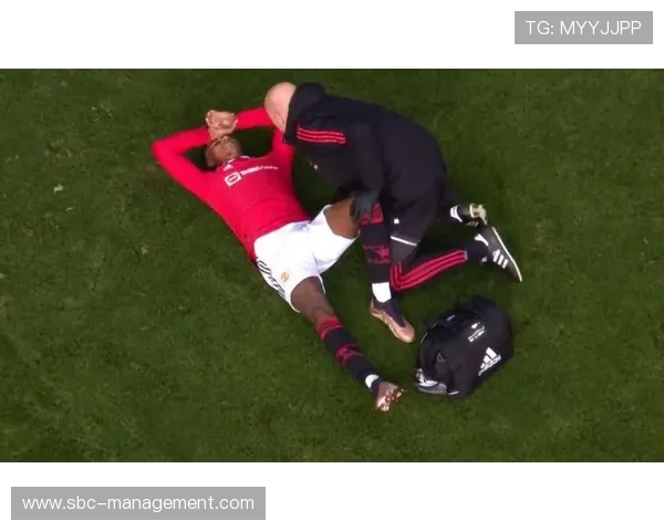 英超切尔西遭遇伤病潮,阵容深度面临严峻考验 英超切尔西遭遇伤病潮,阵容深度面临严峻考验